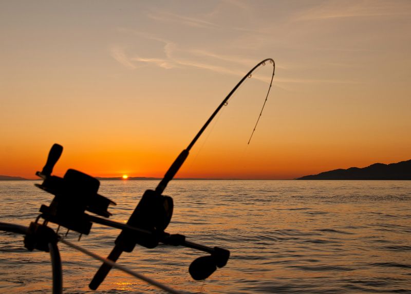 Fiskestang i silhuett mot solnedgang over rolig vann med fjell bak