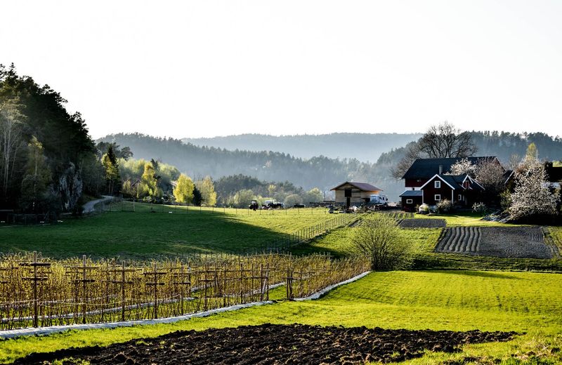 Rødmalt gårdstun med traktorer og nypløyd åker i vårlys mot fjell