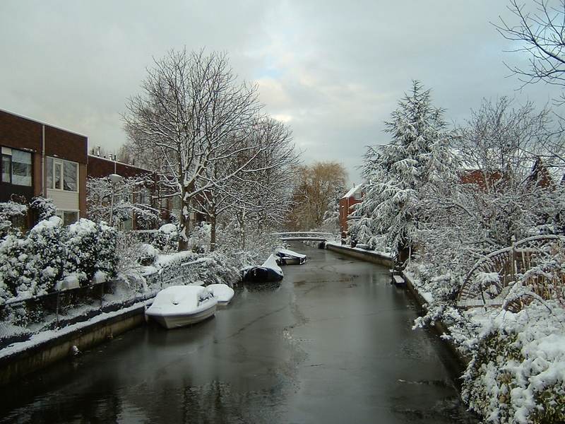 Snødekt kanal med frostkledde trær og hus i grått vinterlys